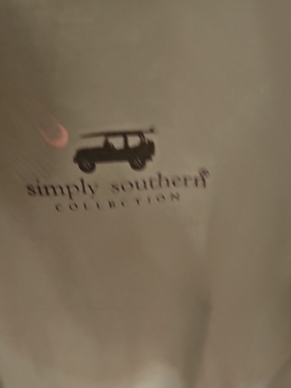Simply Southern Men's Short-Sleeve Tee in Mint Blue  Callouts  A Couple Stains - Picture 3 of 7